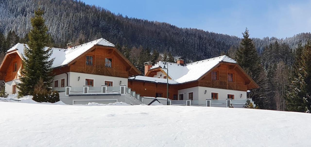Ferienhaus Alpenblick Кракаушаттен Экстерьер фото